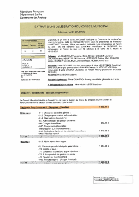 ED 2025-019 BUDGET 2025 ER